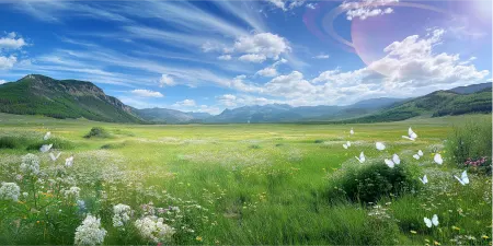 Gallery 1 - Le Space